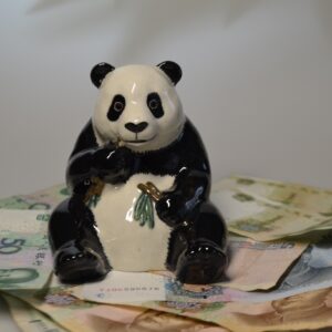 Panda Spardose