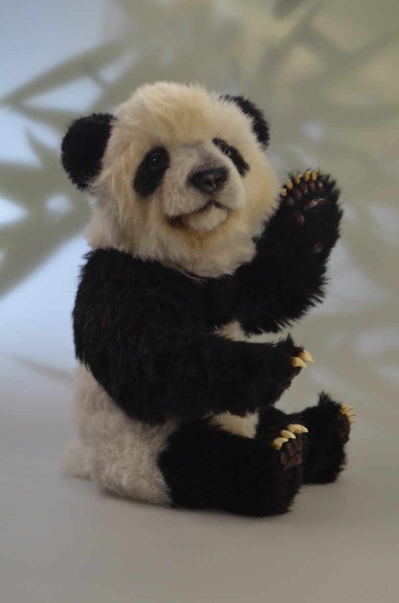 Xi Ming – Der süßeste kleine Große Panda der Welt
