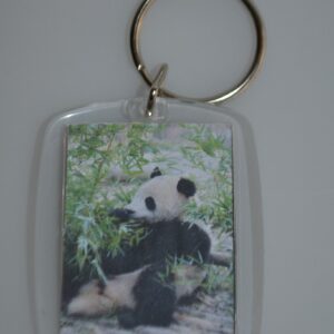 Schlüsselangänger "Kleiner Panda"