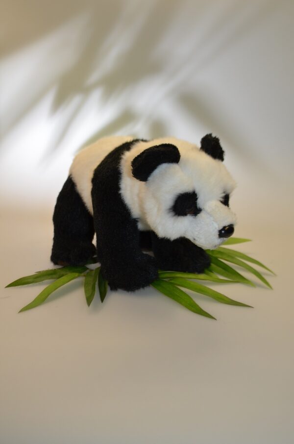 Giant Panda 20cm