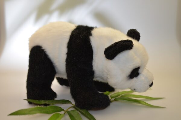 Giant Panda 20cm