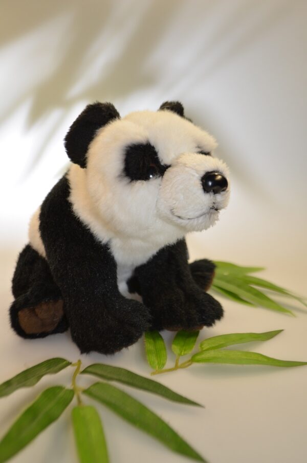 Giant Panda 20cm