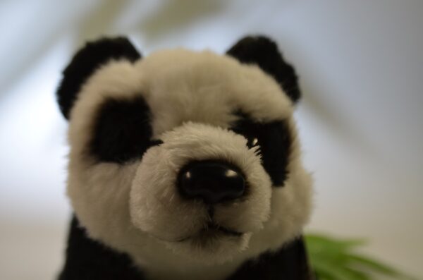 Giant Panda 20cm