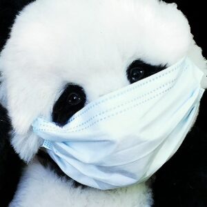 Community Maske / Alltagsmaske 10er Pack