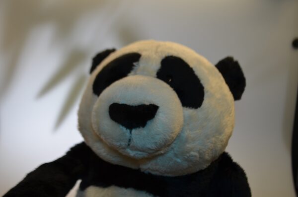 NICI Wild Friends - Panda 35cm, Schlenker Fu Bao (32478) - Sammlerstück