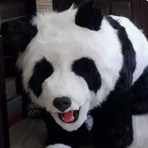 Lebensgroßes Panda-Unikat zu verkaufen – Ausstellungsstück sucht neues Heim