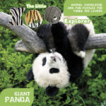 The Little Zoo Explorer: Giant Panda  (englisch)