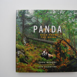 Panda: Back from the Brink