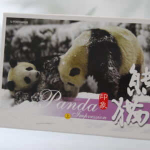 Panda Impression (Winter) Postkarten-Set