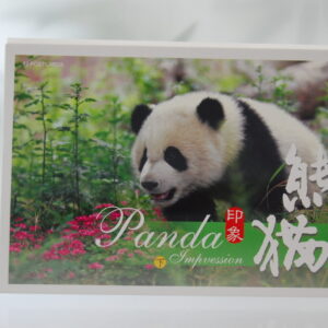 Panda Impression (Frühling) Postkarten-Set