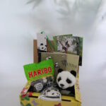 Giant Panda Geschenkpäckchen