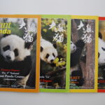 Giant Panda Magazin Abo