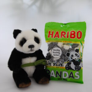 Süße Panda Kombination