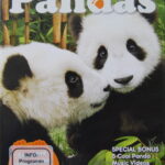 Ultimate Pandas (DVD)