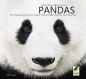 Preview: Cover Panda