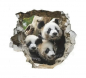 Preview: PandaWall-Sticker1