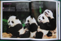 Preview: Unveiling Giant Pandas
