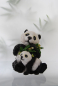 Preview: Spardose Panda mit Baby