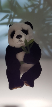 Panda Bamboo 26cm