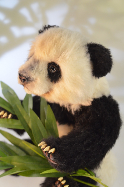 Xi Ming - Der süßeste kleine Große Panda der Welt