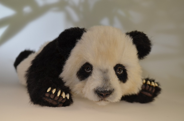 Xi Ming - Der süßeste kleine Große Panda der Welt