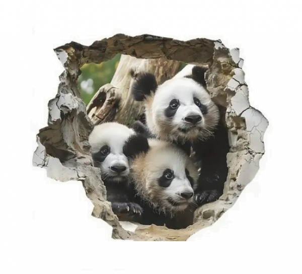 PandaWall-Sticker1