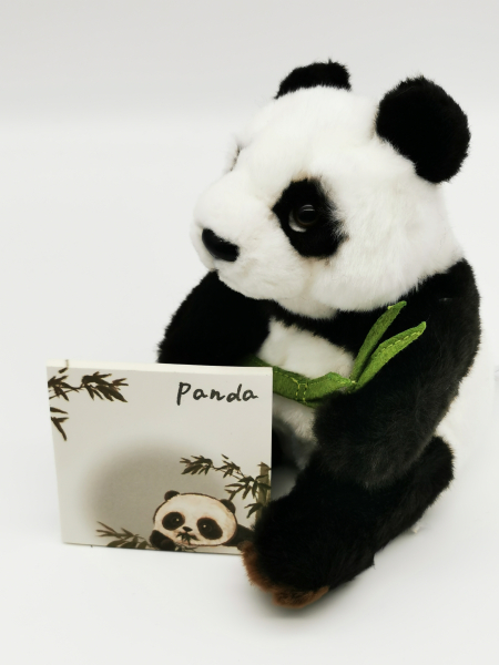 Panda mit Notizblock